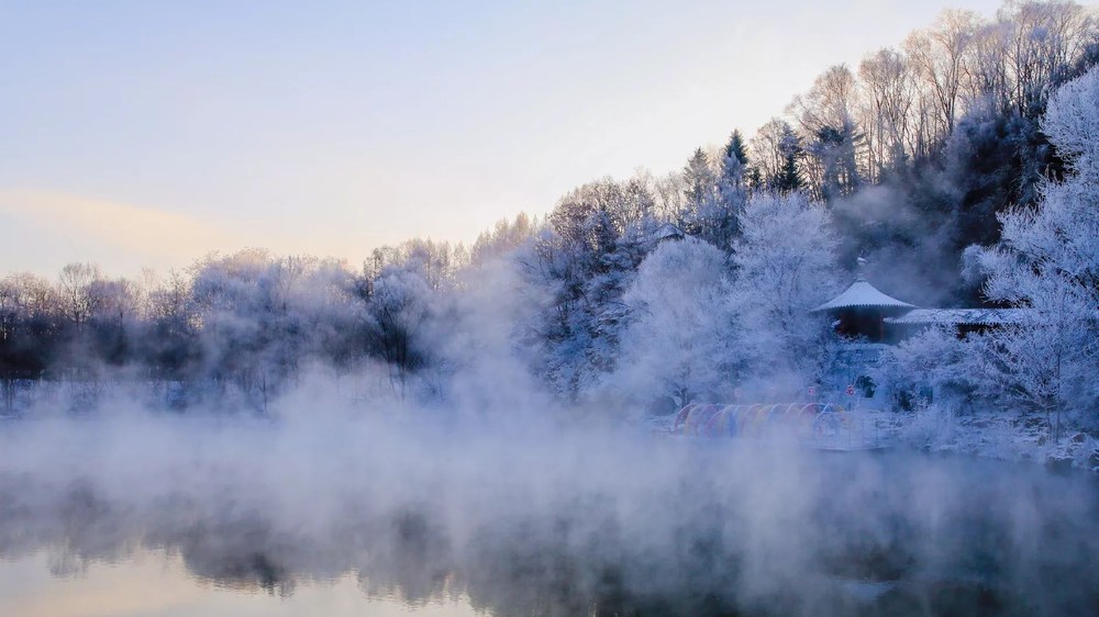 冬季湿地河道雾气与雾凇林